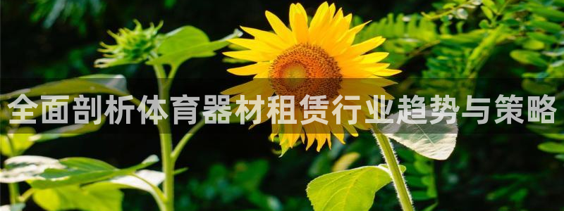 星娱乐online创作的原声胡歌吴磊：全面剖析体育器