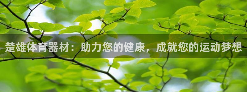 星欧娱乐的官方版本更新内容：楚雄体育器材：助力您的健