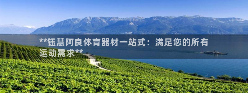 星欧娱乐公司创始人背景故事介绍：**钰慧阿良体育器材
