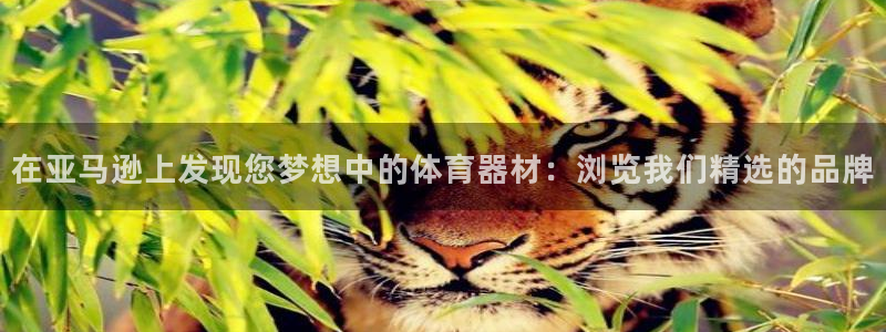 星欧娱乐挂机教程：在亚马逊上发现您梦想中的体育器材：