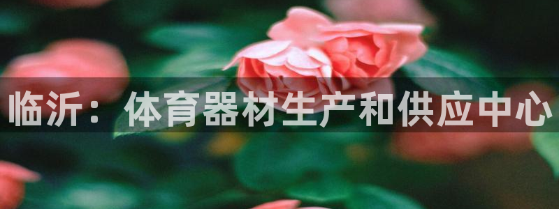 星欧娱乐平台怎么样知乎赚钱吗：临沂：体育器材生产和供