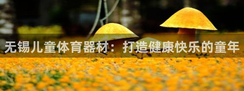 星欧娱乐彩票软件下载安卓：无锡儿童体育器材：打造健康