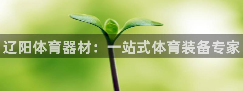 星欧娱乐最建议买的三个产品是哪三个：辽阳体育器材：一