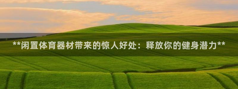 星欧娱乐游戏中心官网登录：**闲置体育器材带来的惊人