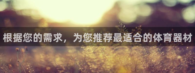 星奥娱乐集团：根据您的需求，为您推荐最适合的体育器材
