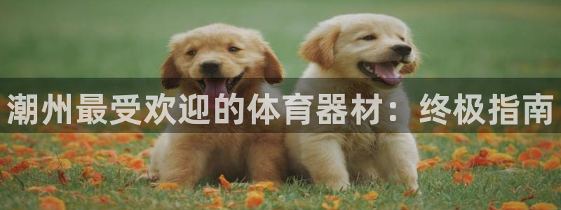 星欧娱乐扣款时间查询方法怎么查：潮州最受欢迎的体育器