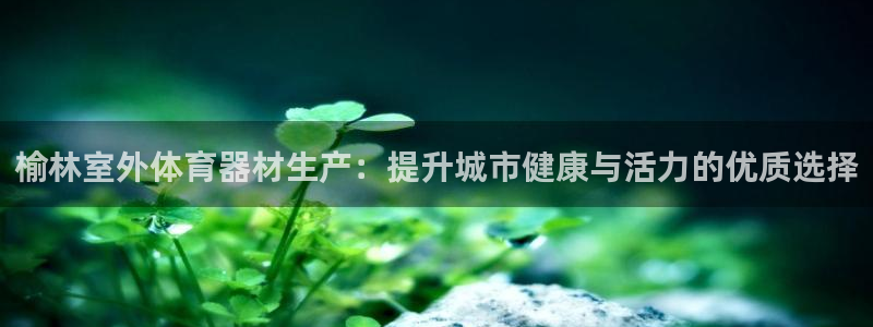 星欧娱乐扣款6II2是什么情况：榆林室外体育器材生产