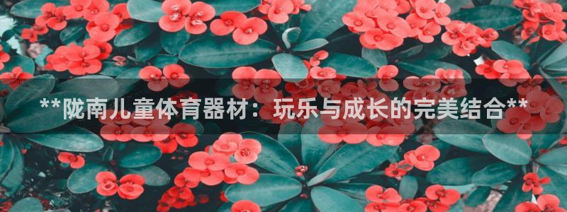 星欧娱乐挂机：**陇南儿童体育器材：玩乐与成长的完美