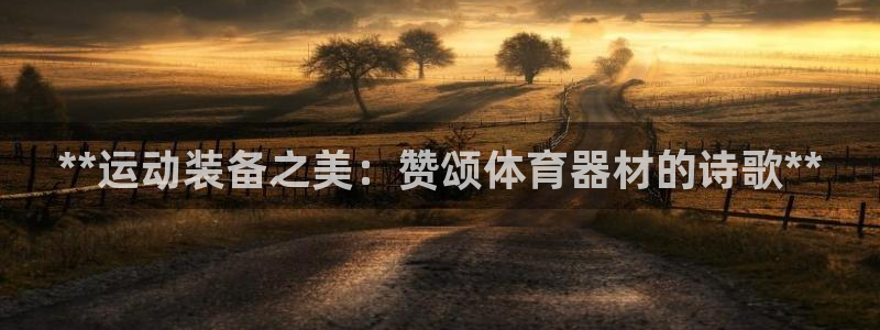 星欧娱乐的创始人背景故事简介：**运动装备之美：赞颂