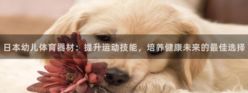 星奥娱乐集团