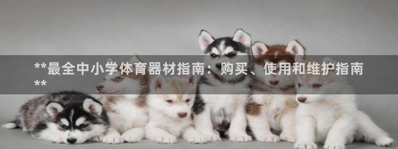 星奥娱乐集团：**最全中小学体育器材指南：购买、使用