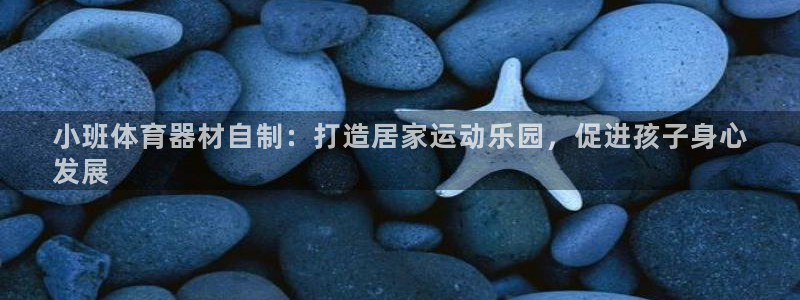星欧娱乐扣款流程详解图：小班体育器材自制：打造居家运