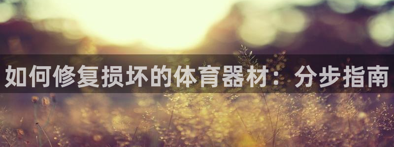 星欧娱乐最建议买的三个游戏账号：如何修复损坏的体育器