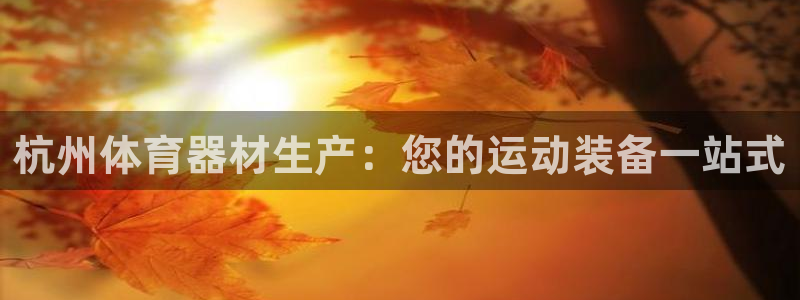 星欧娱乐最建议买的三个游戏是什么：杭州体育器材生产：