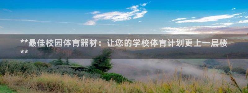 星欧娱乐公司创始人背景故事介绍：**最佳校园体育器材