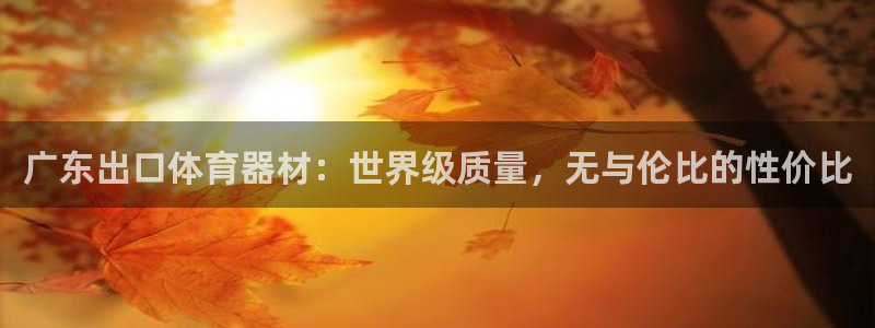 永韬星娱乐：广东出口体育器材：世界级质量，无与伦比的