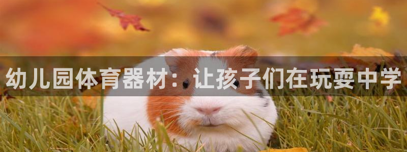 星欧娱乐app最新版本更新内容下载：幼儿园体育器材：