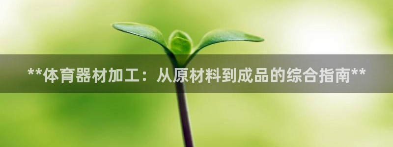 星欧娱乐的官方版本更新内容是什么：**体育器材加工：