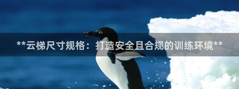 星欧娱乐平台都7O777：**云梯尺寸规格：打造安全