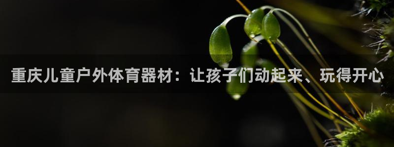 星游娱乐下载地址：重庆儿童户外体育器材：让孩子们动起