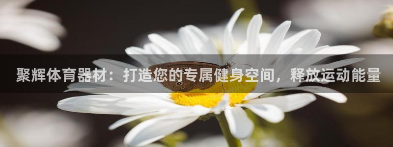 星欧娱乐官网下载安装： 聚辉体育器材：打造您的专属健
