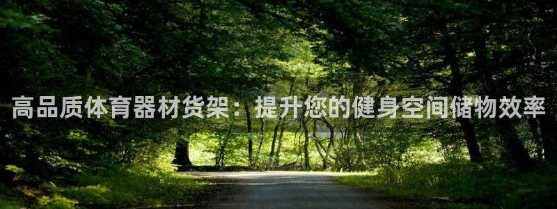 星欧娱乐平台测速线路怎么设置：高品质体育器材货架：提