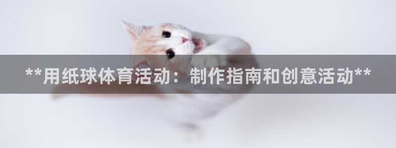 星欧娱乐挂机：**用纸球体育活动：制作指南和创意活动