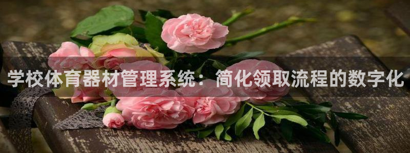 江苏星奥娱乐有限公司招聘：学校体育器材管理系统：简化
