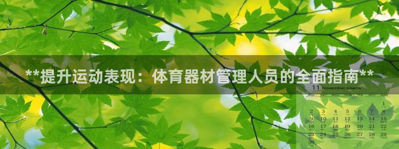 星奥盛典娱乐会所：**提升运动表现：体育器材管理人员