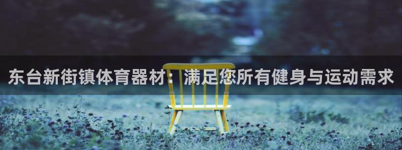 星欧娱乐公司创始人背景故事是什么：东台新街镇体育器材