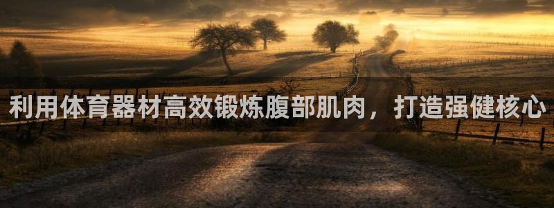 星欧娱乐平台过7O777：利用体育器材高效锻炼腹部肌