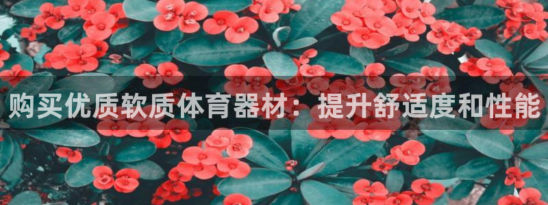 星欧娱乐最建议买的三个游戏账号：购买优质软质体育器材