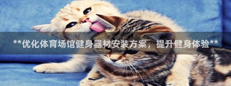 星欧娱乐测速：**优化体育场馆健身器材安装方案，提升
