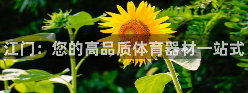 星欧娱乐平台测速线路：江门：您的高品质体育器材一站式