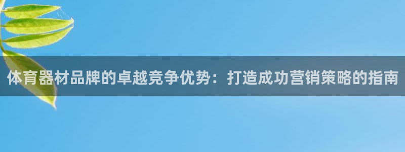 星欧娱乐的官方版本更新内容是什么：体育器材品牌的卓越