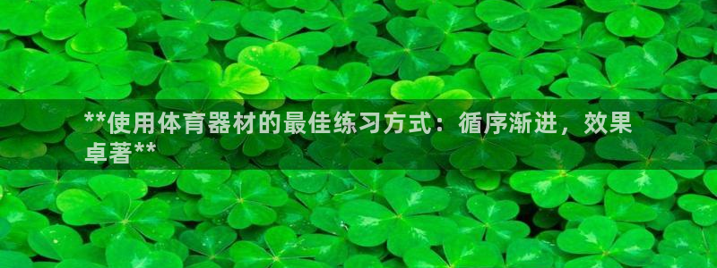 星欧娱乐测速怎么样：**使用体育器材的最佳练习方式：