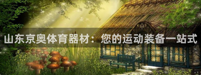 星欧娱乐平台怎么样：山东京奥体育器材：您的运动装备一