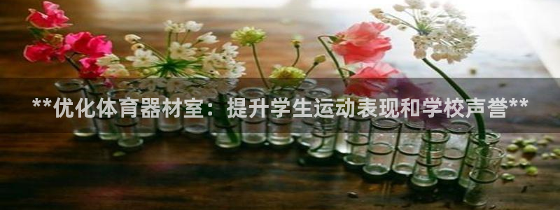 星奥娱乐待遇怎么样：**优化体育器材室：提升学生运动