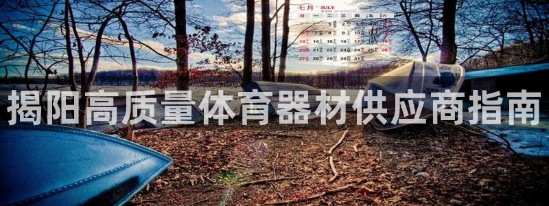 星奥娱乐集团是国企吗：揭阳高质量体育器材供应商指南