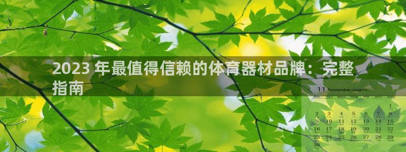 星欧娱乐属于什么档次的公司名称：2023 年最值得信