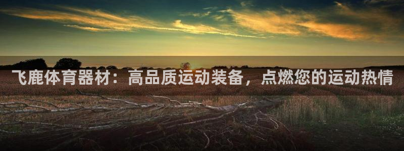 星欧娱乐平台都7O777：飞鹿体育器材：高品质运动装