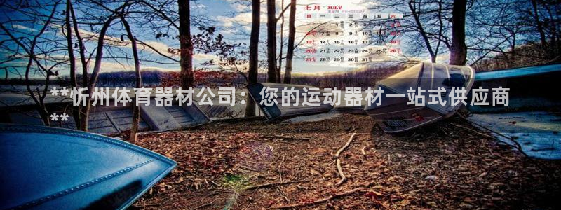 星欧娱乐扣钱步骤详解：**忻州体育器材公司：您的运动