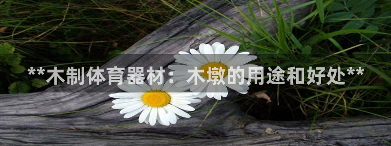江苏星奥娱乐有限公司报名：**木制体育器材：木墩的用
