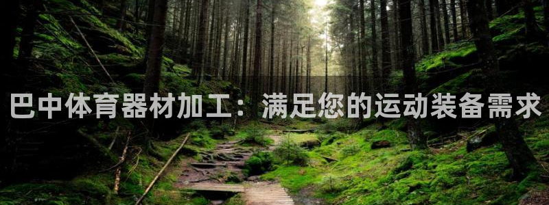 江苏星奥娱乐招艺人：巴中体育器材加工：满足您的运动装