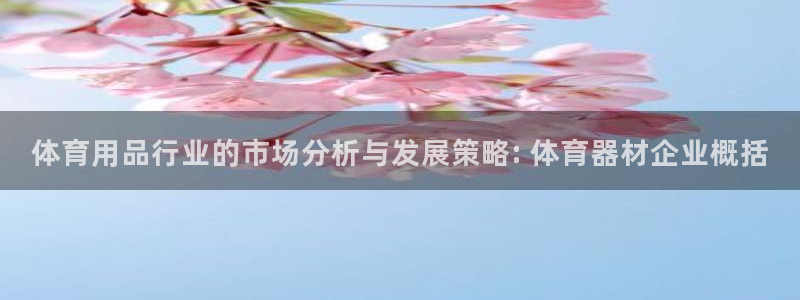 星欧娱乐是正规平台吗知乎：体育用品行业的市场分析与发