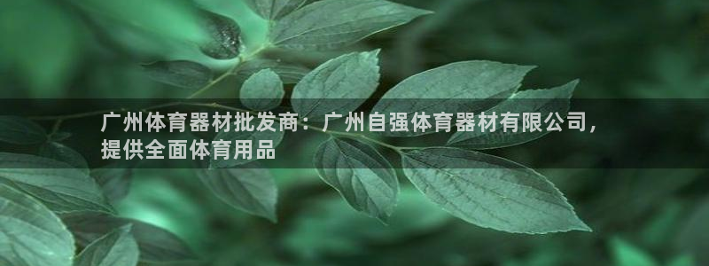 星娱乐包月业务是什么：广州体育器材批发商：广州自强体