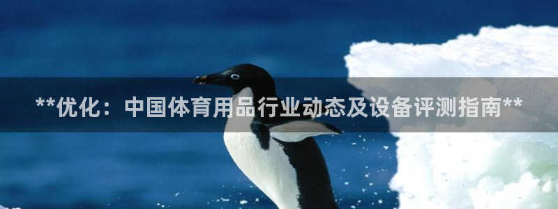 星欧娱乐是正规品牌吗：**优化：中国体育用品行业动态