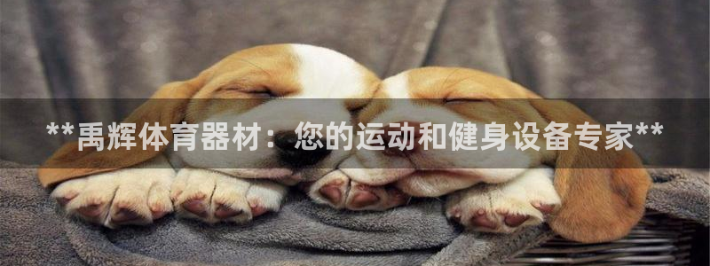 星欧娱乐最建议买的三个产品是什么呢：**禹辉体育器材