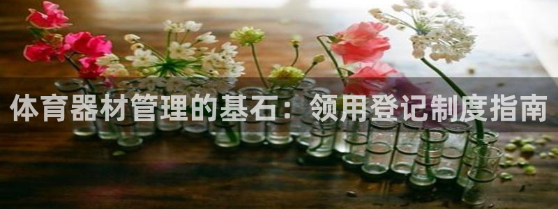 星欧娱乐公司简介：体育器材管理的基石：领用登记制度指