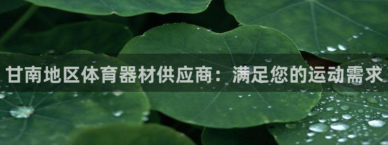 星欧娱乐法711.112怎么扣钱：甘南地区体育器材供
